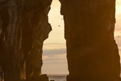 gallery-pic10